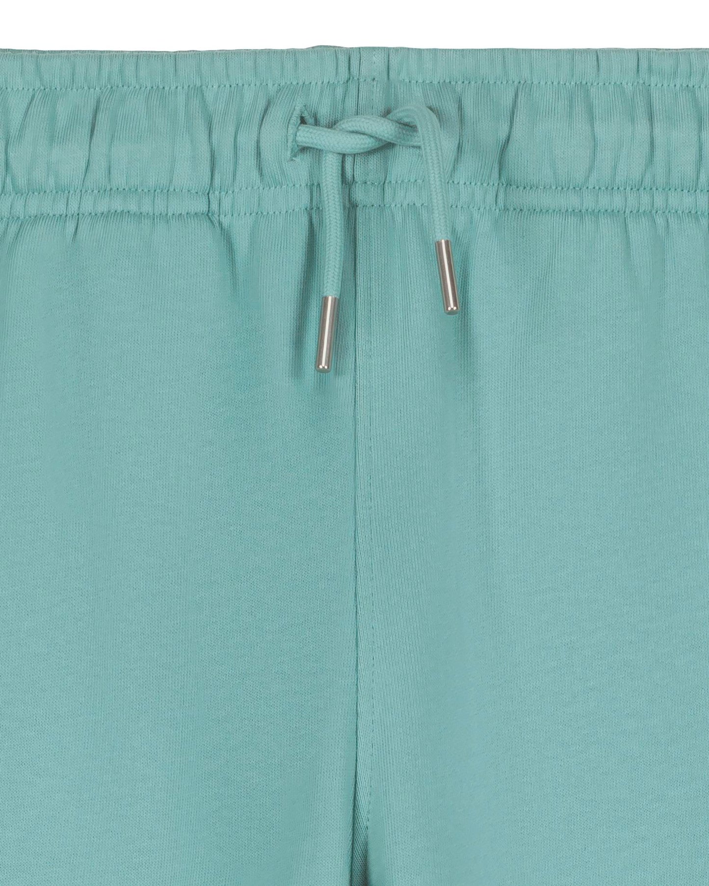 Mini Mover 2.0 - Teal Monstera - Vorderseite Detail
