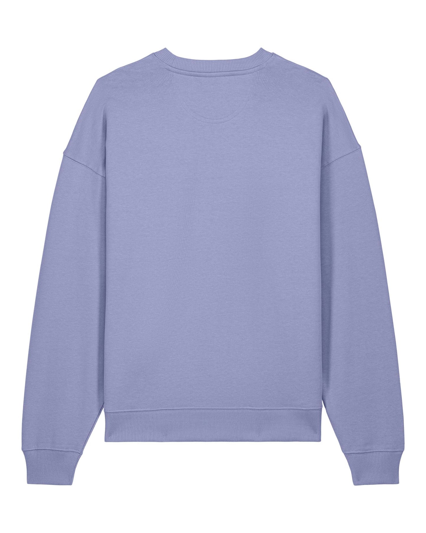 Radder 2.0 - Violet - Rückseite 