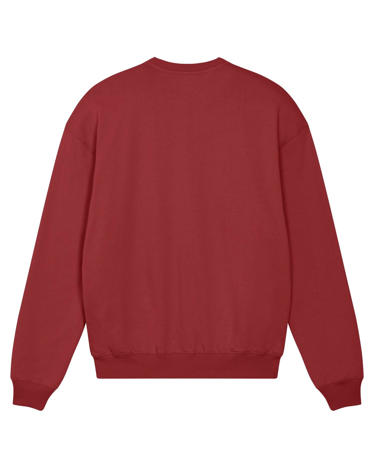 Ledger Dry - Red Earth - Rückseite 