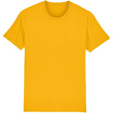 Spectra Yellow