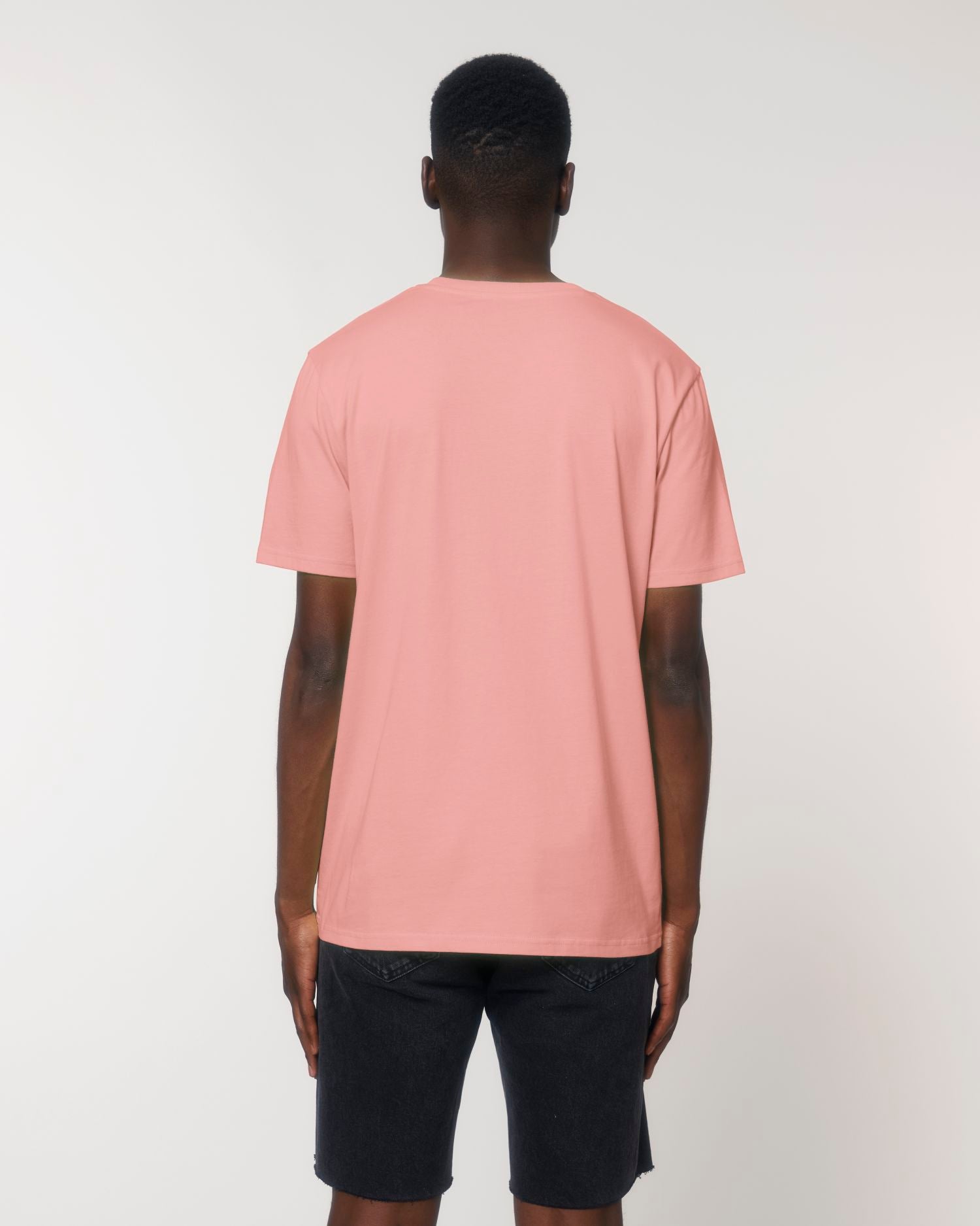 Creator - Canyon Pink - Rückseite 